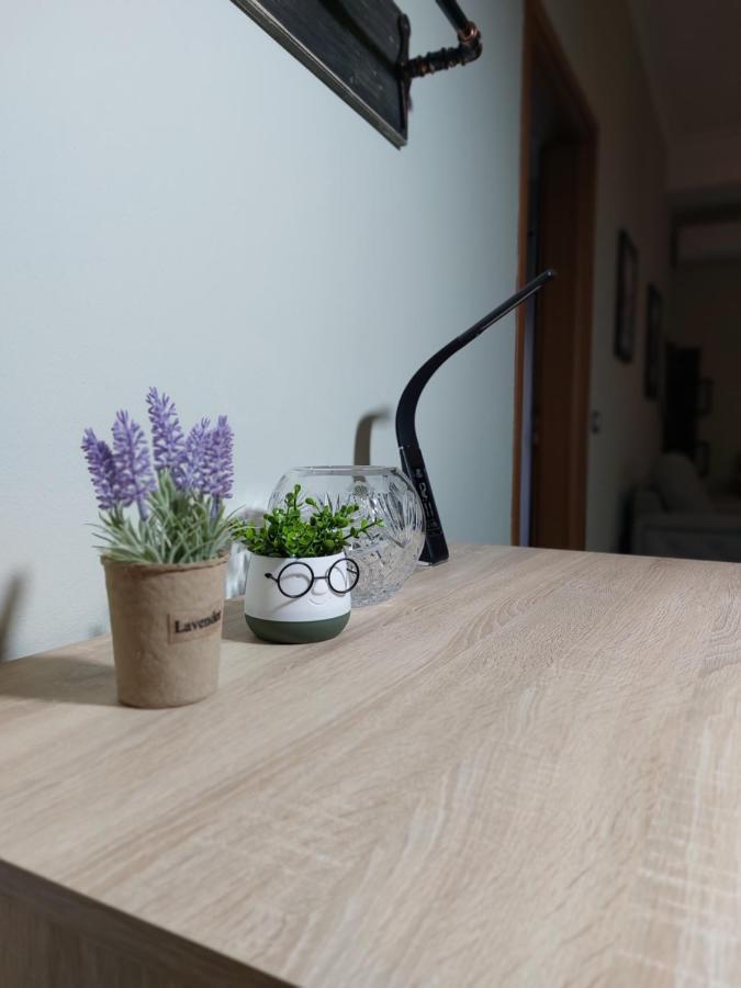 Vila Tafa Apartments Ap3 티라나 외부 사진